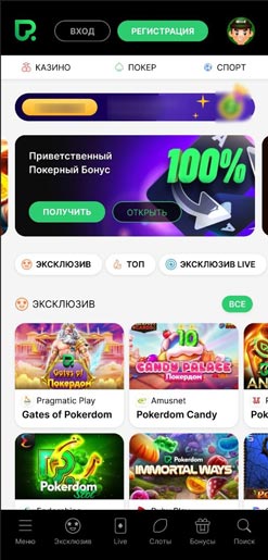 Программа интернет казино